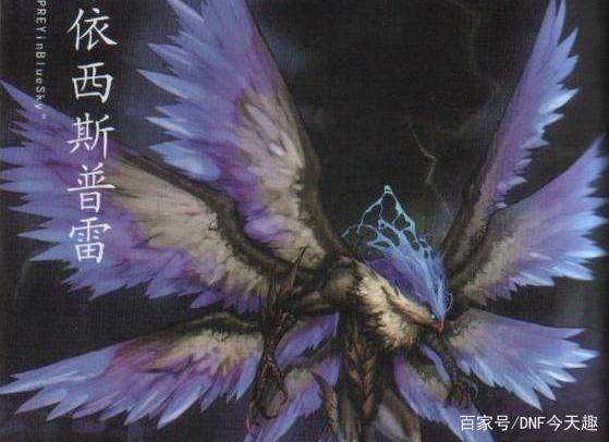 地下城私服-与勇士私服第五周年时装：华丽重磅来袭！245